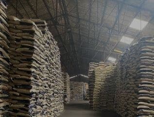 Marchandises palettisées dans un entrepôt sous douane